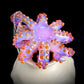 Purple Lilac Octopus Pendant with Caramel Suckers