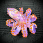 Purple Lilac Octopus Pendant with Caramel Suckers